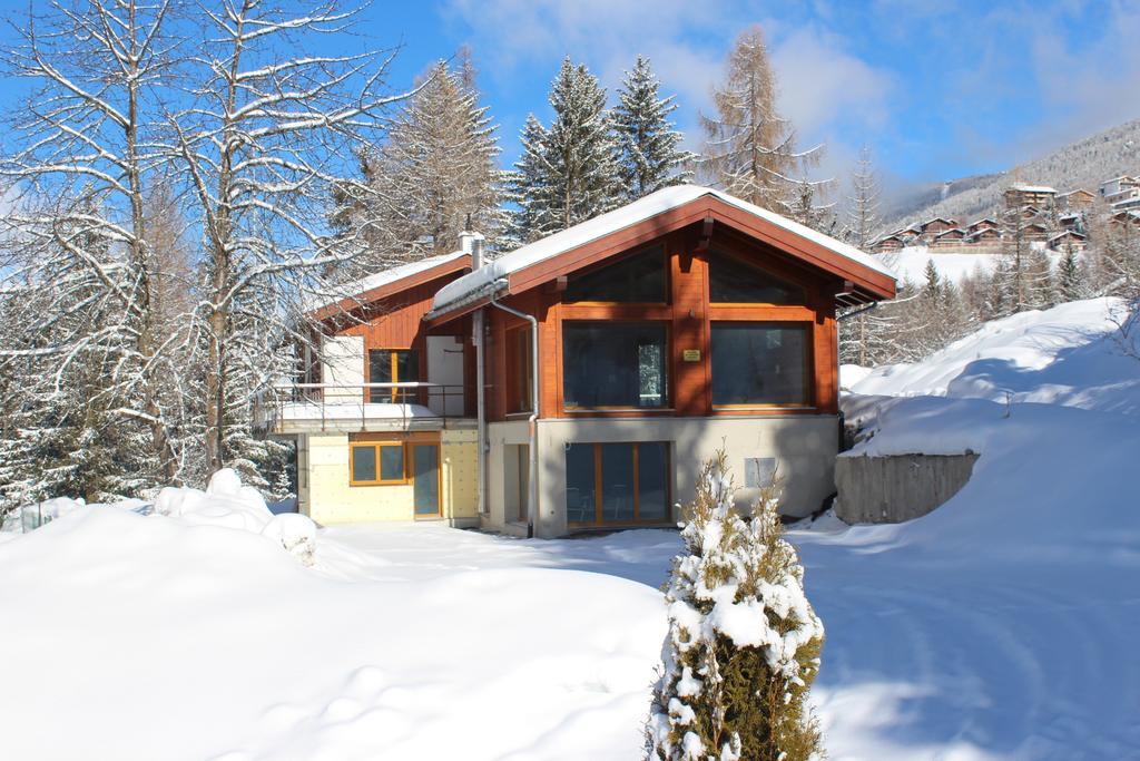 Chalet Du Chef Grächen Eksteriør billede